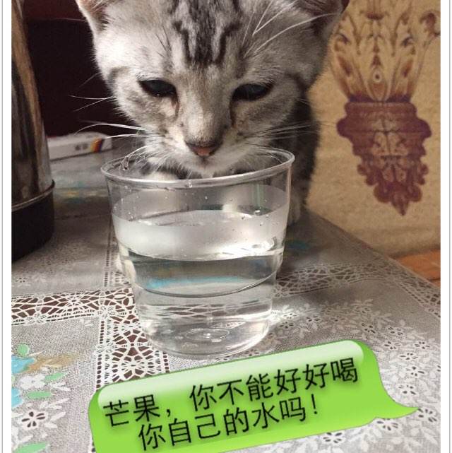 农村房子发不动产证